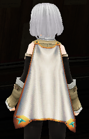 Magic Swordsman's Coat