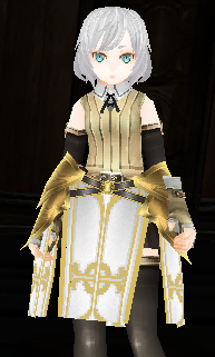 Holy Knight Loin Guard