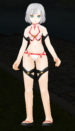 Palanquin Carrier Garment