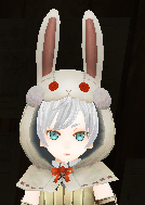 Bunny Ear Hood