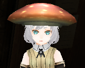 Mushroom Cap