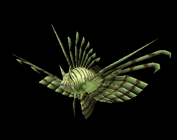 Pterois