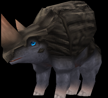 Rhinoceros